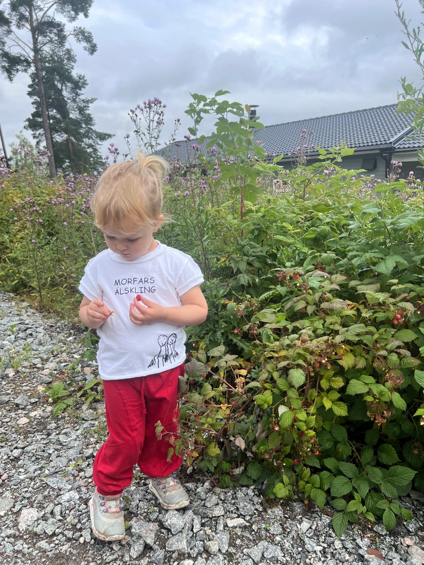 Barn i Morfars älskling t-shirt plockar hallon – handtryckt av Woops i Hägersten